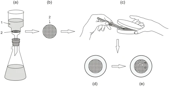 Five-step diagram of the membrane filtration procedure, from filtration apparatus to incubated colonies